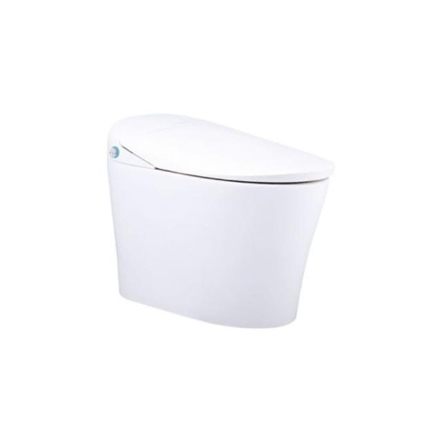 CAESAR凱撒衛浴 CA1384 是一款高品質一段式智慧馬桶，採用瞬熱式加熱技術，提供即時溫水舒適體驗。尺寸為 W40 x D65.5 x H49 cm（座高39.5 cm），適合現代衛浴空間。110V 電壓設計，臺灣原廠製造，BSMI 許可字號 T31465，確保安全可靠。選用優質材質，承載重量與內容物依原廠規格，帶來智慧衛浴全新升級。