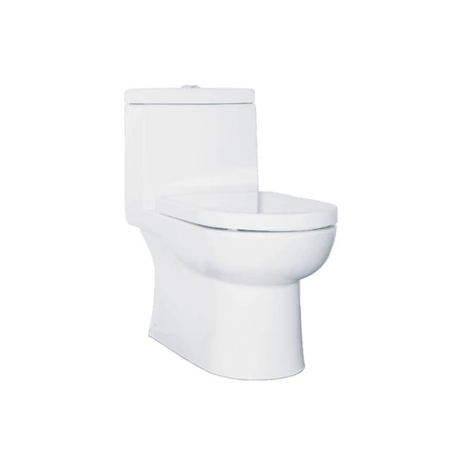 HCG 和成 C4511GMUST 二段省水馬桶 臺灣製造 節水環保衛浴 73.5x36x71cm 耐用靜音