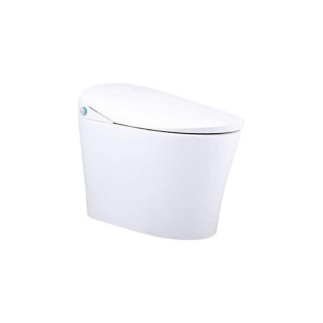 CAESAR凱撒衛浴 CA1384S 是一款高階一段式智慧馬桶，採用瞬熱式加熱技術，提供舒適溫水體驗。尺寸為 W40 x D65.5 x H49 cm（座高39.5 cm），電壓110V，產地臺灣，BSMI許可字號 T31465。適合現代居家使用，兼具便利與衛生，提升生活品質。