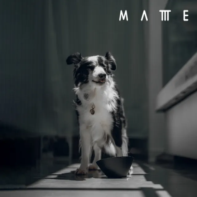 【MATTTE】RoLock 寵物不倒大口徑飼料斜食碗+水碗組 不沾黑色(寵物碗/貓碗/狗碗/飼料碗)