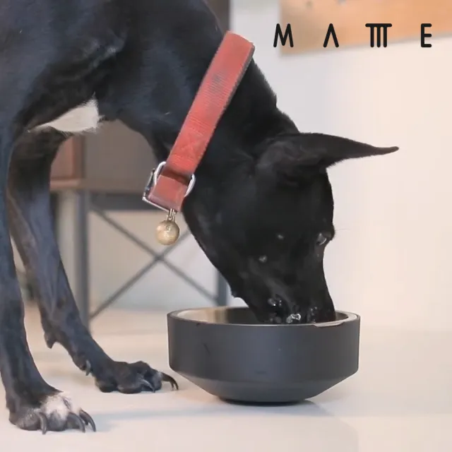 【MATTTE】RoLock 寵物不倒大口徑水碗 650ml 不鏽鋼原色(吸地耐撞/內外碗分離/304不鏽鋼)
