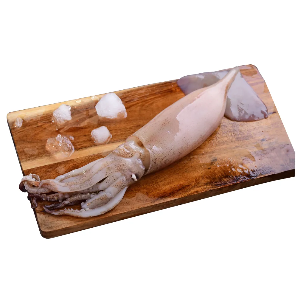 心鮮】阿根廷野生鮮凍生魷魚32件組(200g-300g/隻) - momo購物網- 好評推薦-2026年1月