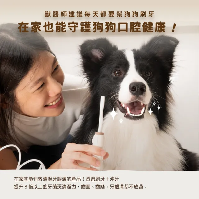 【BLAUPUNKT 德國藍寶】寵物沖牙機 BPH-TB02RP(寵物沖牙機 貓狗沖牙機 沖牙機)
