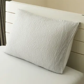 【NITORI 宜得利家居】極致涼感 枕套 N COOL WSP GY 25NC-21 50×70(極致涼感 枕套 套 N COOL)