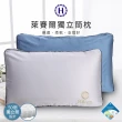 【Hilton 希爾頓】尊榮享受機能枕系列/二入組(枕頭/獨立筒枕/透氣枕/止鼾枕/石墨烯/涼感記憶枕)