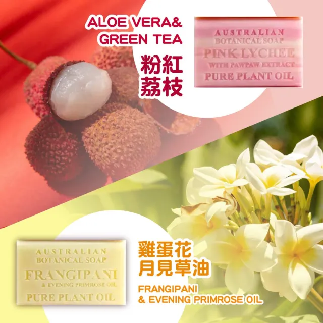 【Australian Botanical Soap】澳洲製植物精油香皂8入X2盒