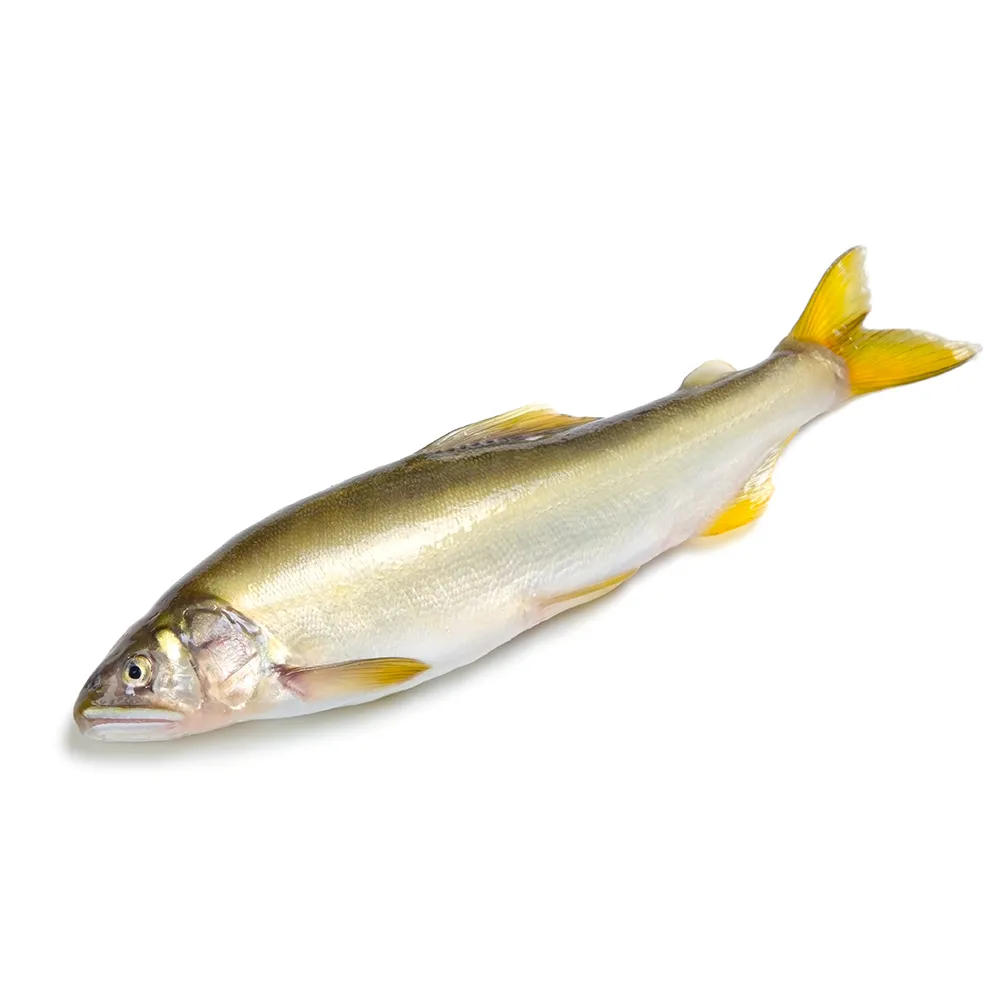 【海鮮主義】母香魚2盒組(10隻入/盒)