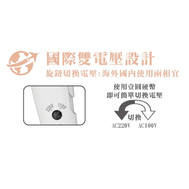 【達新牌】國際雙壓 負離子折疊吹風機 雙電壓 110V 220V 附收納袋(FD-180)