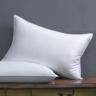 【A-nice】台灣製造 飯店專櫃羽絨枕 輕柔包覆感 飯店民宿御用款(低枕/中枕 二入)