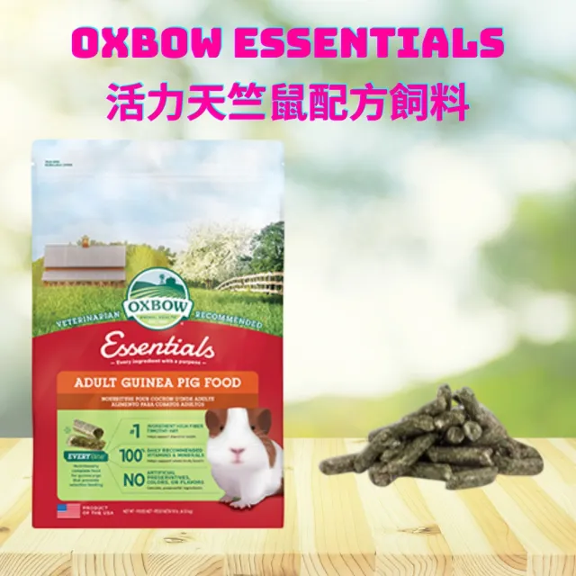【OXBOW】活力成年天竺鼠配方飼料10磅lb(成天飼料 美國進口天竺鼠飼料 荷蘭豬 萌鼠飼料 老鼠食物)
