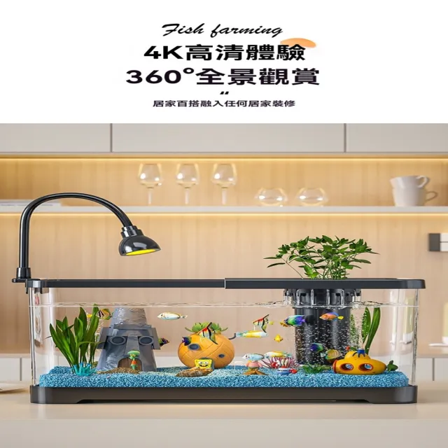 【闊庭寵物用品店】小型魚缸生態造景過濾製氧一體機金魚缸 預售12工作天(長49.5*寬21.5*高21.2 過濾套餐)
