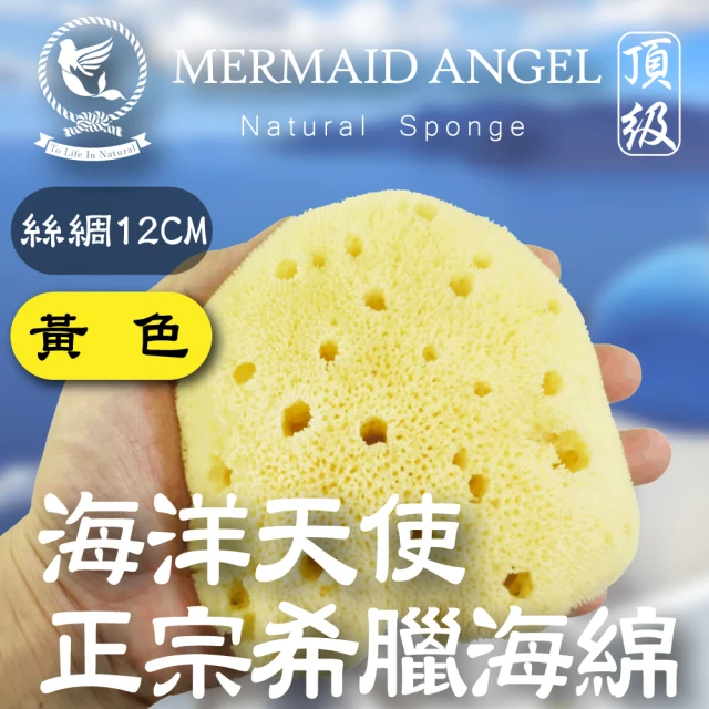 天然海綿