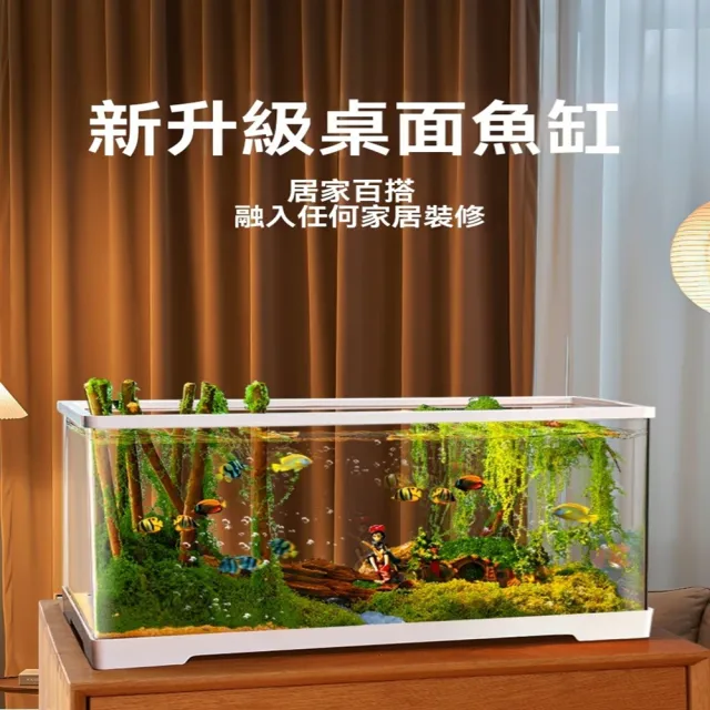【極樂鳥寵物用品旗艦店】亞克力小型魚缸 防撞防耐摔 免換水桌面魚缸 預售12工作天(長60*寬30*高29)