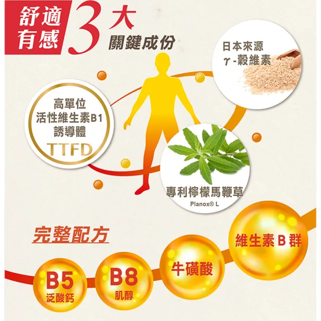 【台塑生醫醫之方】momo獨家長釋B群EX PLUS加強錠75錠x2瓶(共150錠李李仁代言)