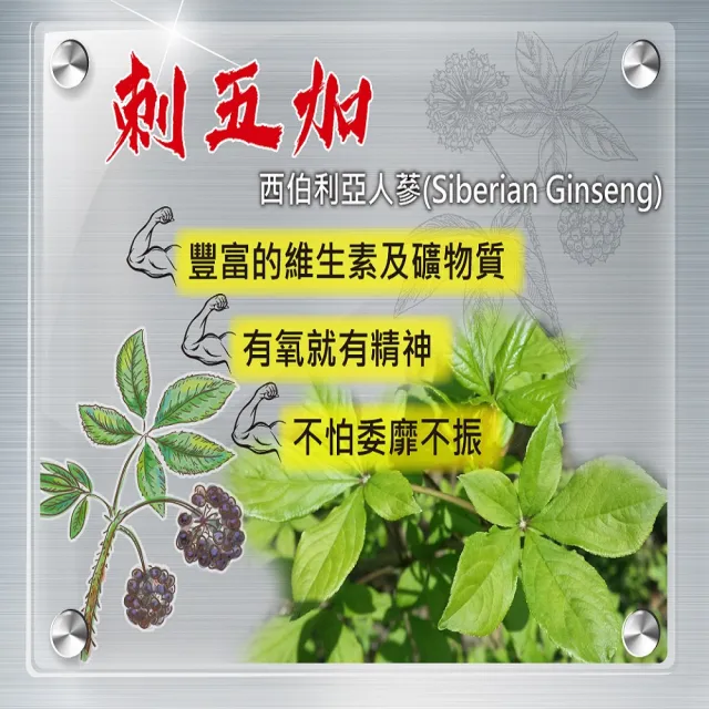 【YouBest 優倍多】男性強健複方軟膠囊 3入組(共180粒 瑪卡 南瓜籽油  刺五加 男性保健 鋅 禮盒)