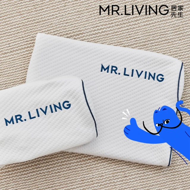 【MR. LIVING 居家先生】護頸減壓蝶型記憶枕-專用枕頭套(不適用於一般枕頭)