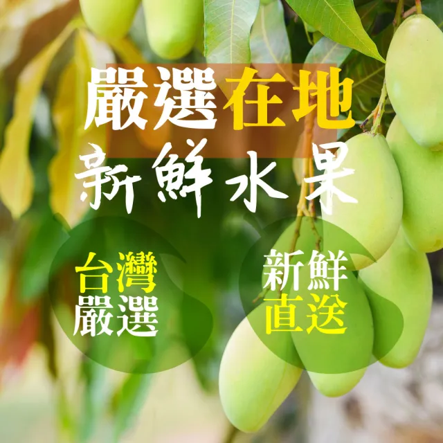 【甜園】情人果乾 120gx15包(★無糖情人果乾★梅香情人果乾★台灣土芒果乾★夏日必備)