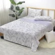 【Great Living 格蕾寢飾】La Belle 超COOL超涼感蠶絲蛋白抗菌涼被150*200CM(多款任選 冰冰被 夏被 空調被)