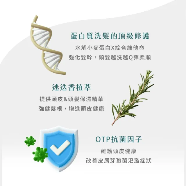 【SH-RD 史高師設】蛋白質洗髮精250ml(受損髮專用、滋潤修護、迷迭香植萃、護色高保濕)