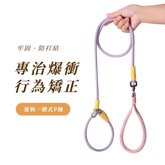 一體式寵物防暴衝P字牽引繩-150CM(夜間反光 防暴衝 遛狗繩 戶外遛狗 項圈 寵物用品)