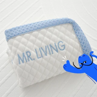 【MR. LIVING 居家先生】涼感減壓記憶枕-專用枕頭套(不適用於一般枕頭)