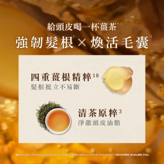 【Hair Recipe】綠茶柚子/生薑清茶洗髮精 280ml(髮的食譜/髮的料理/清爽保濕/防斷豐盈)