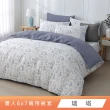【HongYew 鴻宇】台灣製100%精梳棉 兩用被套 雙人(多款)