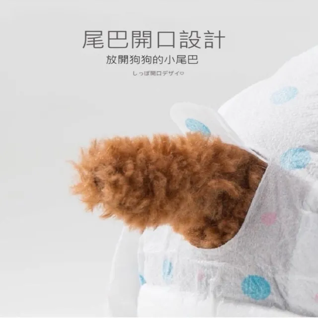 【Pet Universe 多寵宇宙】寵物尿布-XL(寵物禮貌帶 狗尿布 狗狗尿布 狗狗禮貌帶 禮貌帶 貓尿布 貓咪尿布)