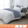 【HongYew 鴻宇】台灣製100%精梳棉 薄被套床包枕套組 雙人(多款)