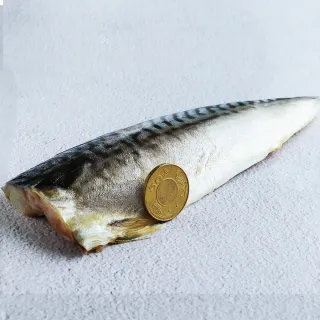【優鮮配】挪威薄鹽鯖魚24片(170g±20g/片)