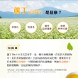 【High Tea】黃金蕎麥茶6gx15入x5袋(100%台灣韃靼種黃金蕎麥)