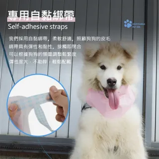 【Pet Universe 多寵宇宙】拋棄式寵物口水巾-M(寵物圍兜兜 貓咪圍兜 寵物圍兜 寵物圍巾 狗狗口水巾)
