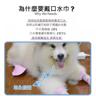 【Pet Universe 多寵宇宙】拋棄式寵物口水巾-L(寵物圍兜兜 貓咪圍兜 寵物圍兜 寵物圍巾 狗狗口水巾)