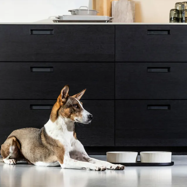【DOG Copenhagen】丹麥犬Kronborg寵物雙碗餐墊組-大(歐洲匠心工藝 陶瓷狗碗橡木餐墊)