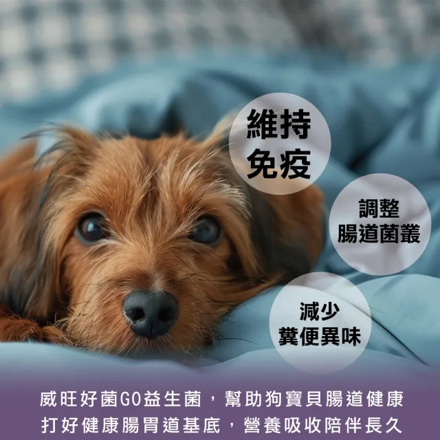 【WeWant 威旺】犬用好菌GO益生菌+益生元 30包(腸胃調理/狗狗益生菌/精選雙菌)