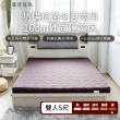 【藤原傢俬】雙人5尺冬夏兩用護背防螨抗菌10 cm彈簧床墊-硬