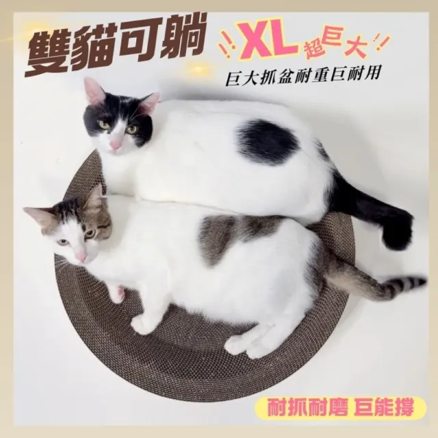 【AOYI】100%MIT（禮盒裝XL）高密度瓦楞紙貓窩貓抓板(台灣製造 耐抓不掉屑 超大尺寸 交換禮物)