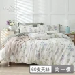 【HOYACASA  禾雅寢具】MOMO網路獨家 60支抗菌天絲兩用被床包四件組(雙人/加大多款任選 速達)