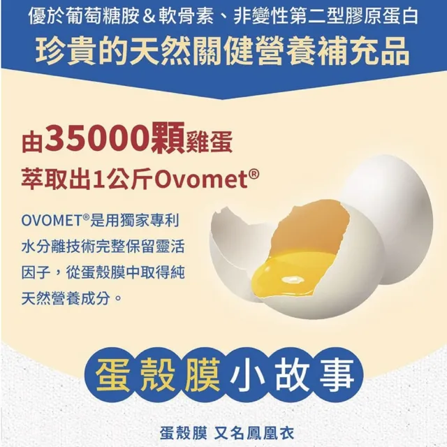 【中化健康生技】力立穩120錠×2盒｜靈活穩健×一錠雙效(獨家多國專利克弗爾乳胜肽+蛋殼膜膠原蛋白/蛋奶素)