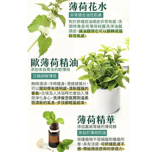 【古寶無患子】3入組 舒爽薄荷控油去屑純露洗髮精480g