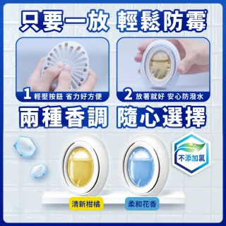 【風倍清】浴廁用防霉防臭劑/芳香劑 1入裝(柔和花香/清新柑橘)