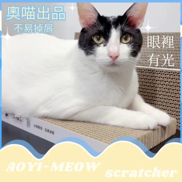 【AOYI奧藝】台製瓦楞紙貓抓板5入組(39.5*19*3cm)(植物膠 高密度 耐抓耐磨 安全無憂)