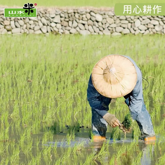 【鴨間稻】有機香米糙3Kg