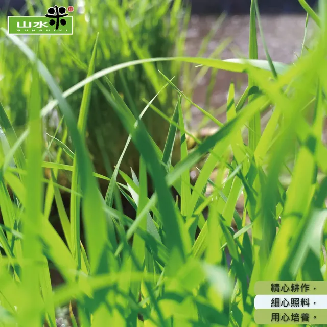 【鴨間稻】有機胚芽糙米(3Kg/1入)