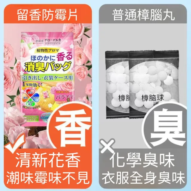 【潔淨專家】日本樟腦丸-10入組(芳香 防蟲 樟腦丸 防蟲丸)