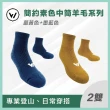 【WOAWOA】2入組 極致速乾美麗諾登山羊毛襪-中筒(100%防縮美麗諾羊毛紗 耐磨襪 登山襪 保暖襪 除臭襪 厚襪)