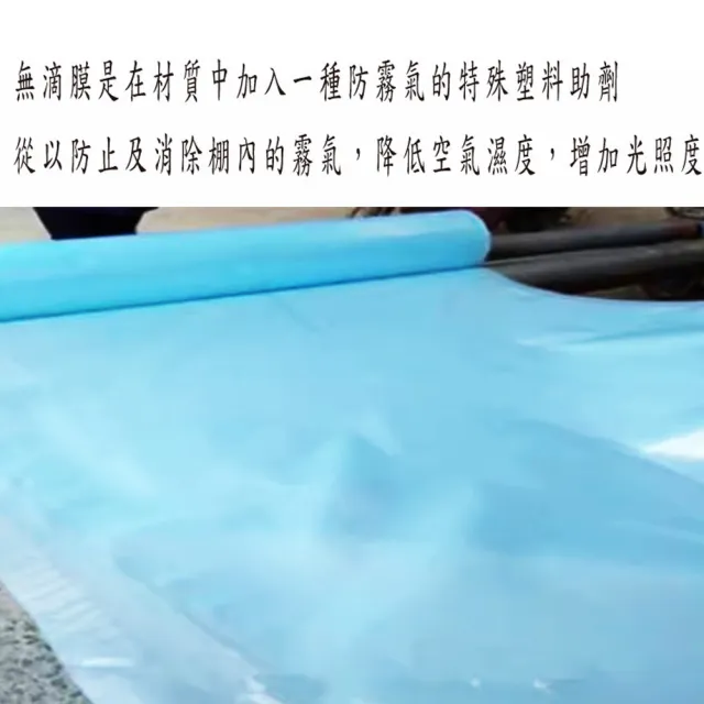 【POKO】可連接可加長 保溫棚 4mm玻纖桿240cm塑料膜組合款(玻璃纖維實心桿 大棚膜架 溫室種植 農用菜棚)