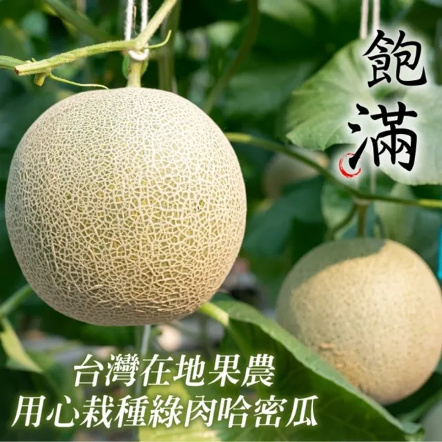 【WANG 蔬果】台灣嚴選綠肉哈密瓜800gx2顆(800g/顆)
