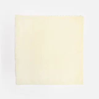 【特力屋】拋棄式抹布 30x30cm 捲裝30片 黃