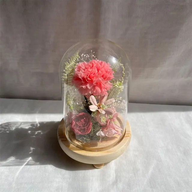 【OSTARA FLORIST 奧斯塔拉花藝】永生康乃馨玻璃罩-紅/紫/粉(永生花、康乃馨、母親節、女性長輩、居家布置)